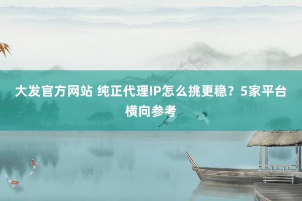 大发官方网站 纯正代理IP怎么挑更稳？5家平台横向参考
