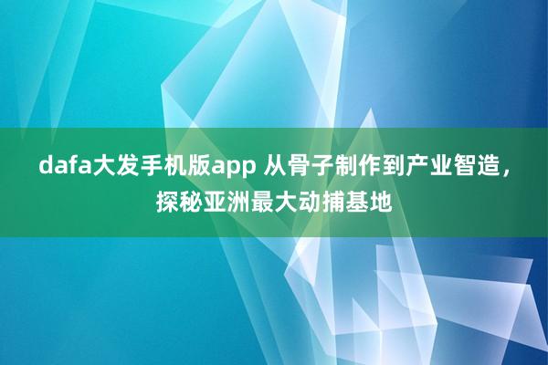dafa大发手机版app 从骨子制作到产业智造，探秘亚洲最大动捕基地