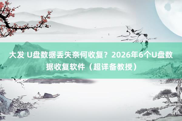 大发 U盘数据丢失奈何收复？2026年6个U盘数据收复软件（超详备教授）