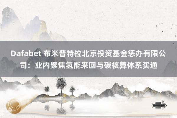 Dafabet 布米普特拉北京投资基金惩办有限公司：业内聚焦氢能来回与碳核算体系买通